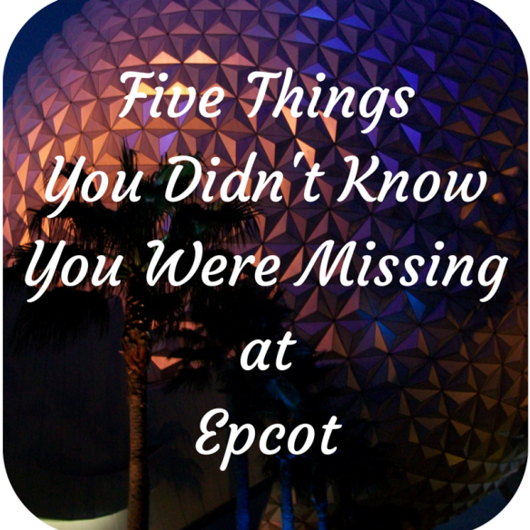 Epcot Things